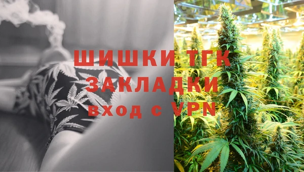 винт Арсеньев