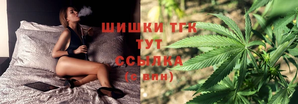 винт Арсеньев