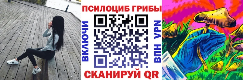 Галлюциногенные грибы мицелий  Балей 